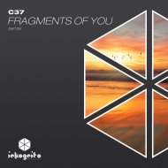 C37 - Fragments Of You