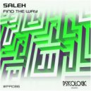 Saleh (BR) - We Get Low (Original Mix)