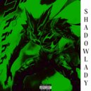 kolchin. - Shadow Lady