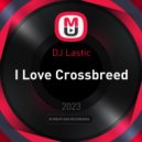 DJ Lastic - I Love Crossbreed ()