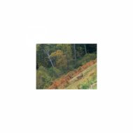 Sleep BGM Mindfulness - September and Self-control
