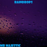 Mr Majestic - Raindrops
