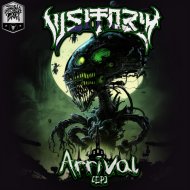 Visitor 44 - Groovin