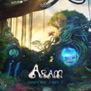 Aram, Twisted Perception - O Cantico