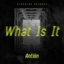 Antiiin - What Is It (Original Mix)