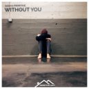 Sasha Primitive - Without You (Extended Mix)
