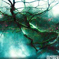 Octave (RO) - Stars War