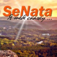 SeNata - Я тебе скажу