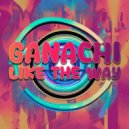 Ganachi - Like The Way (Instrumental Mix)