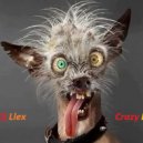 Dj .Llex - Grazy Day (Original Mix)