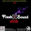 SVnagel ( LV ) - Flash Sound #558 ()