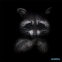 Dj Vl Raccoon - U droom