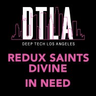 Redux Saints, DiVine (NL) - In Need