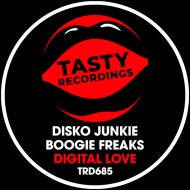 Disko Junkie & Boogie Freaks - Digital Love