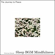 Sleep BGM Mindfulness - Ambient Touch