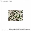Sleep BGM Mindfulness - Centered Spirit (Original Mix)