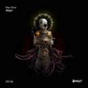 Ray Silva - Into The Darkness