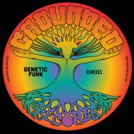 Genetic Funk & Michelle Weeks - Love Life