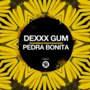 Dexxx Gum - Pedra Bonita (Original Mix)