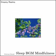 Sleep BGM Mindfulness - Guided Relaxation Music